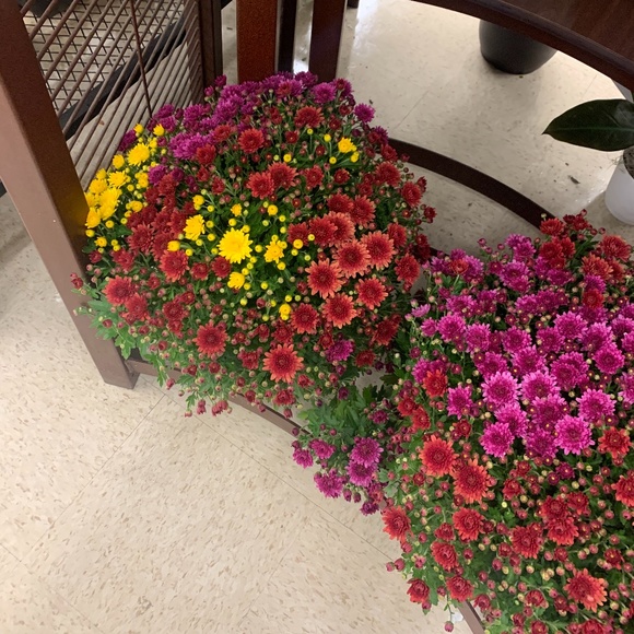 Meet your Posher, User - Picture 1 of 1